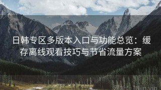 日韩专区多版本入口与功能总览：缓存离线观看技巧与节省流量方案