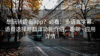 想玩转趣岛app？必看：多语言字幕、语音选择与翻译功能介绍，趣聊 - 应用详情