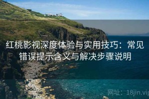 红桃影视深度体验与实用技巧：常见错误提示含义与解决步骤说明
