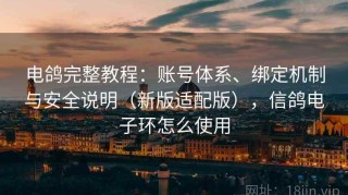 电鸽完整教程：账号体系、绑定机制与安全说明（新版适配版），信鸽电子环怎么使用