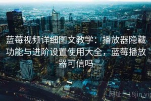 蓝莓视频详细图文教学：播放器隐藏功能与进阶设置使用大全，蓝莓播放器可信吗