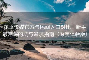 花季传媒官方与民间入口对比：新手最常踩的坑与避坑指南（深度体验版）