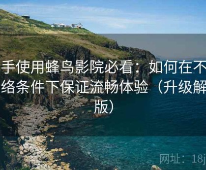 新手使用蜂鸟影院必看：如何在不同网络条件下保证流畅体验（升级解析版）