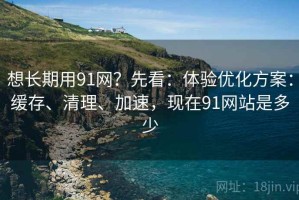 想长期用91网？先看：体验优化方案：缓存、清理、加速，现在91网站是多少