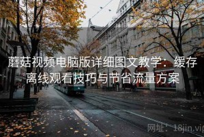 蘑菇视频电脑版详细图文教学：缓存离线观看技巧与节省流量方案