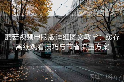 蘑菇视频电脑版详细图文教学：缓存离线观看技巧与节省流量方案