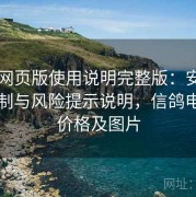 电鸽网页版使用说明完整版：安全验证机制与风险提示说明，信鸽电子门价格及图片