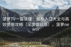 菠萝TV一篇读懂：最新入口大全与高效使用攻略（深度体验版），菠萝newtv
