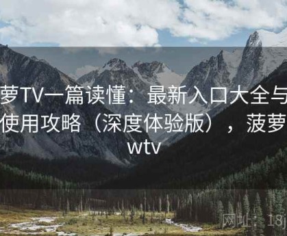 菠萝TV一篇读懂：最新入口大全与高效使用攻略（深度体验版），菠萝newtv