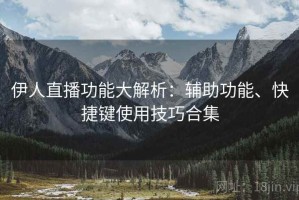 伊人直播功能大解析：辅助功能、快捷键使用技巧合集