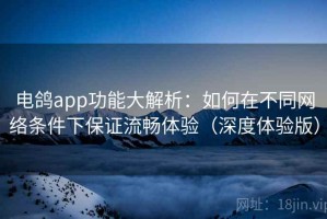 电鸽app功能大解析：如何在不同网络条件下保证流畅体验（深度体验版）