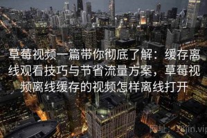 草莓视频一篇带你彻底了解：缓存离线观看技巧与节省流量方案，草莓视频离线缓存的视频怎样离线打开
