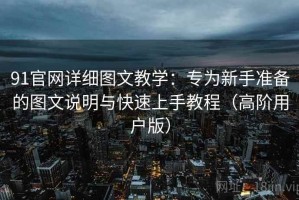 91官网详细图文教学：专为新手准备的图文说明与快速上手教程（高阶用户版）