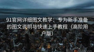 91官网详细图文教学：专为新手准备的图文说明与快速上手教程（高阶用户版）