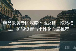 精品欧美专区深度体验总结：隐私模式、护眼设置与个性化布局推荐