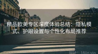 精品欧美专区深度体验总结：隐私模式、护眼设置与个性化布局推荐