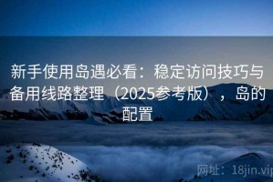 新手使用岛遇必看：稳定访问技巧与备用线路整理（2025参考版），岛的配置