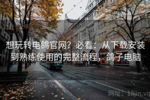 想玩转电鸽官网？必看：从下载安装到熟练使用的完整流程，鸽子电脑