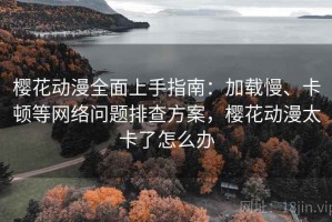 樱花动漫全面上手指南：加载慢、卡顿等网络问题排查方案，樱花动漫太卡了怎么办