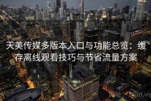 天美传媒多版本入口与功能总览：缓存离线观看技巧与节省流量方案