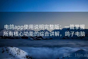 电鸽app使用说明完整版：一篇掌握所有核心功能的综合讲解，鸽子电脑