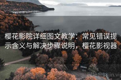 樱花影院详细图文教学：常见错误提示含义与解决步骤说明，樱花影视器