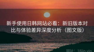 新手使用日韩网站必看：新旧版本对比与体验差异深度分析（图文版）