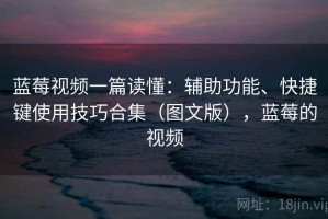 蓝莓视频一篇读懂：辅助功能、快捷键使用技巧合集（图文版），蓝莓的视频
