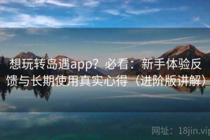 想玩转岛遇app？必看：新手体验反馈与长期使用真实心得（进阶版讲解）