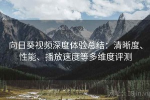 向日葵视频深度体验总结：清晰度、性能、播放速度等多维度评测