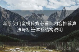 新手使用蜜桃传媒必看：内容推荐算法与标签体系结构说明