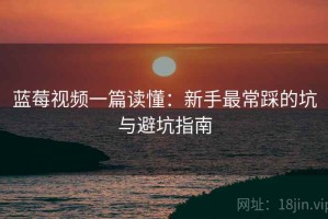 蓝莓视频一篇读懂：新手最常踩的坑与避坑指南