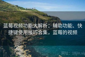 蓝莓视频功能大解析：辅助功能、快捷键使用技巧合集，蓝莓的视频