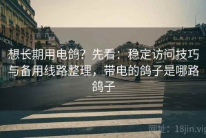 想长期用电鸽？先看：稳定访问技巧与备用线路整理，带电的鸽子是哪路鸽子