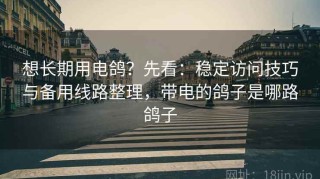 想长期用电鸽？先看：稳定访问技巧与备用线路整理，带电的鸽子是哪路鸽子