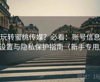 想玩转蜜桃传媒？必看：账号信息安全设置与隐私保护指南（新手专用版）