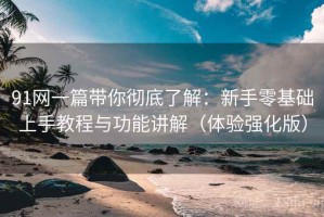 91网一篇带你彻底了解：新手零基础上手教程与功能讲解（体验强化版）