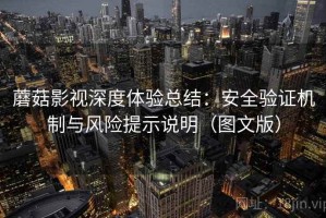 蘑菇影视深度体验总结：安全验证机制与风险提示说明（图文版）
