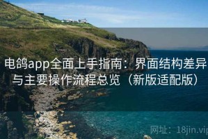 电鸽app全面上手指南：界面结构差异与主要操作流程总览（新版适配版）
