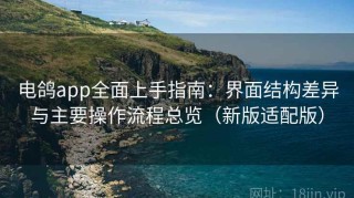 电鸽app全面上手指南：界面结构差异与主要操作流程总览（新版适配版）