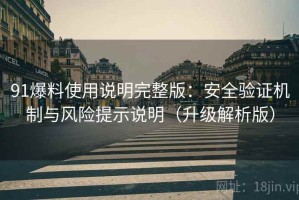 91爆料使用说明完整版：安全验证机制与风险提示说明（升级解析版）