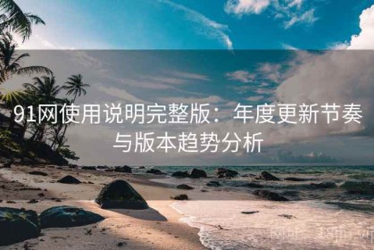 91网使用说明完整版：年度更新节奏与版本趋势分析