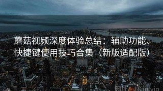 蘑菇视频深度体验总结：辅助功能、快捷键使用技巧合集（新版适配版）