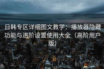 日韩专区详细图文教学：播放器隐藏功能与进阶设置使用大全（高阶用户版）