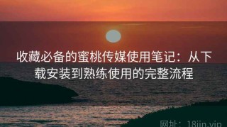 收藏必备的蜜桃传媒使用笔记：从下载安装到熟练使用的完整流程