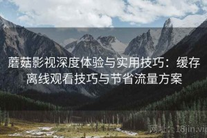 蘑菇影视深度体验与实用技巧：缓存离线观看技巧与节省流量方案