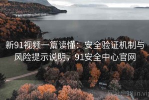 新91视频一篇读懂：安全验证机制与风险提示说明，91安全中心官网