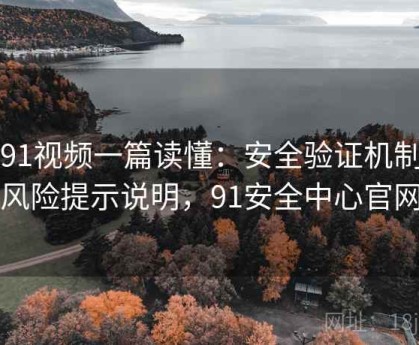 新91视频一篇读懂：安全验证机制与风险提示说明，91安全中心官网