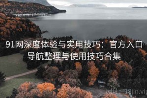 91网深度体验与实用技巧：官方入口导航整理与使用技巧合集