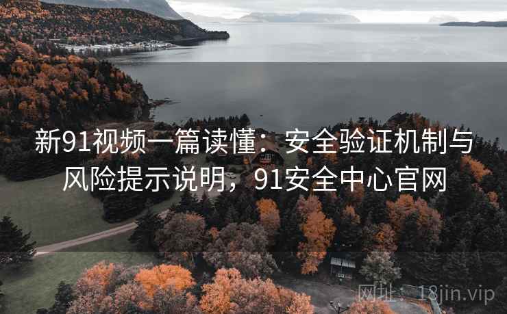 新91视频一篇读懂:安全验证机制与风险提示说明,91安全中心官网 新91视频一篇读懂:安全验证机制与风险提示说明,91安全中心官网